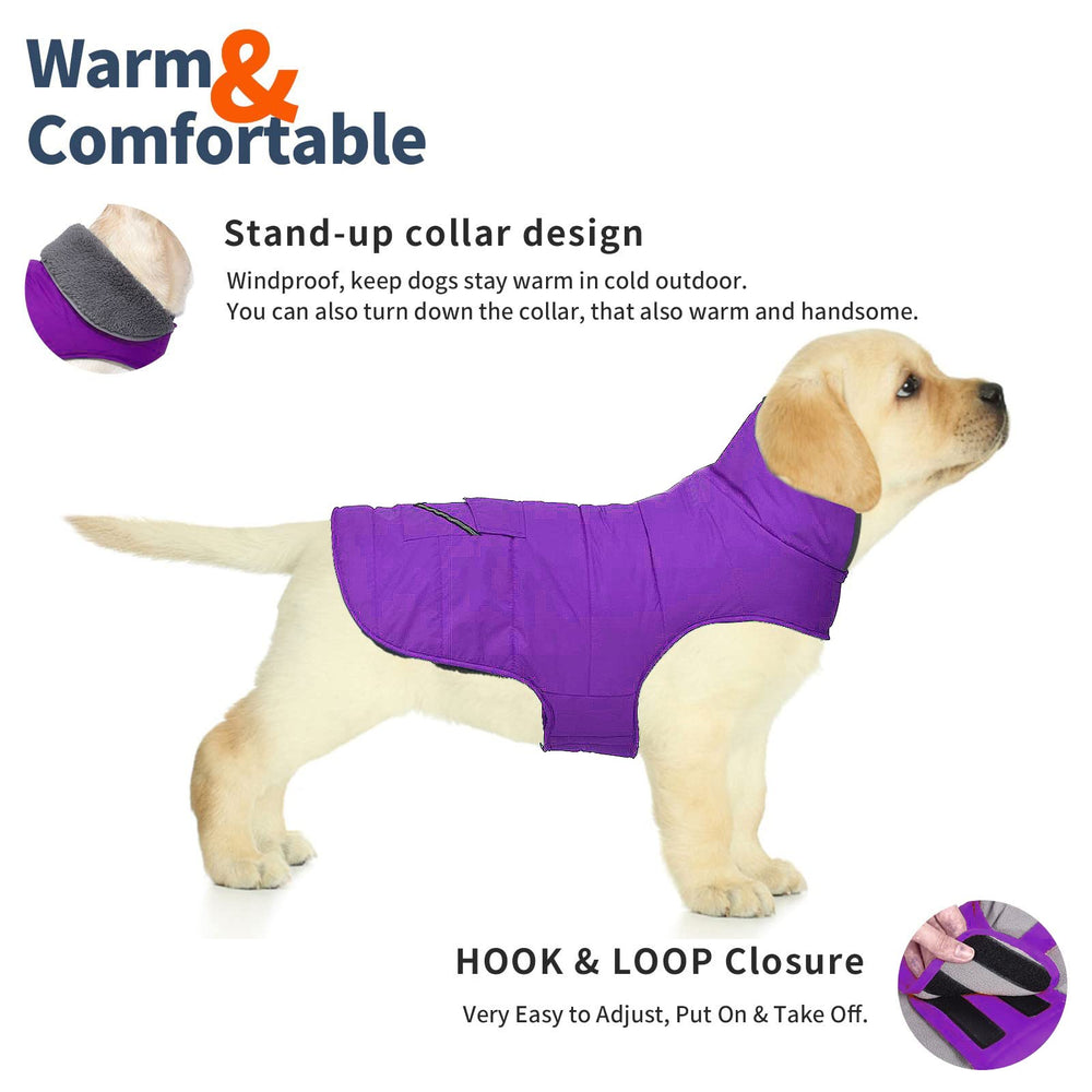 Manteau Petglad coupe-vent avec col haut pour protéger du froid.