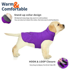 Manteau Petglad coupe-vent avec col haut pour protéger du froid.