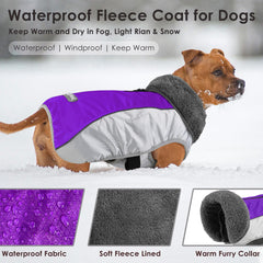 Petglad manteau chien doublure polaire epaisse garde chaleur.