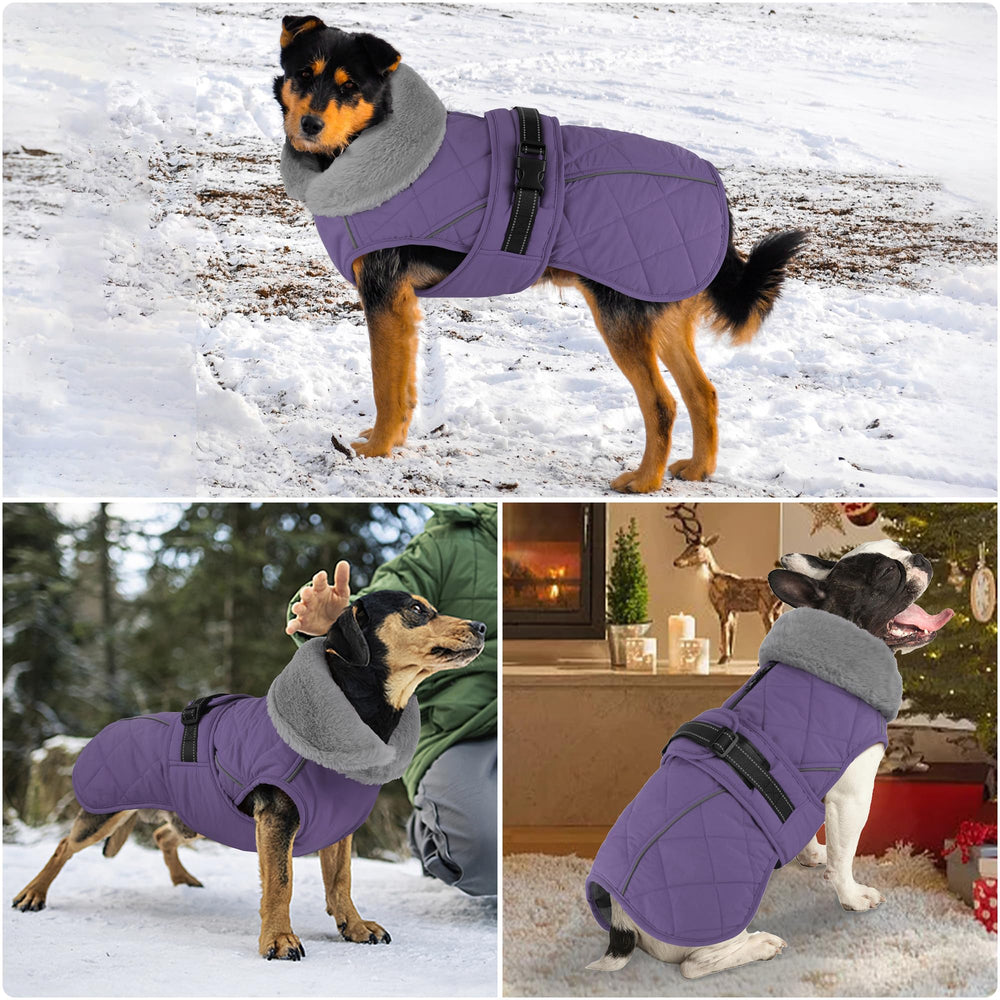 Petglad manteau chien doublure polaire chaude, confort optimal par temps froid.