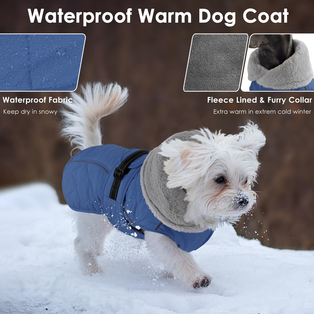 Douceur polaire Petglad, chaleur réconfortante lors des sorties hivernales.