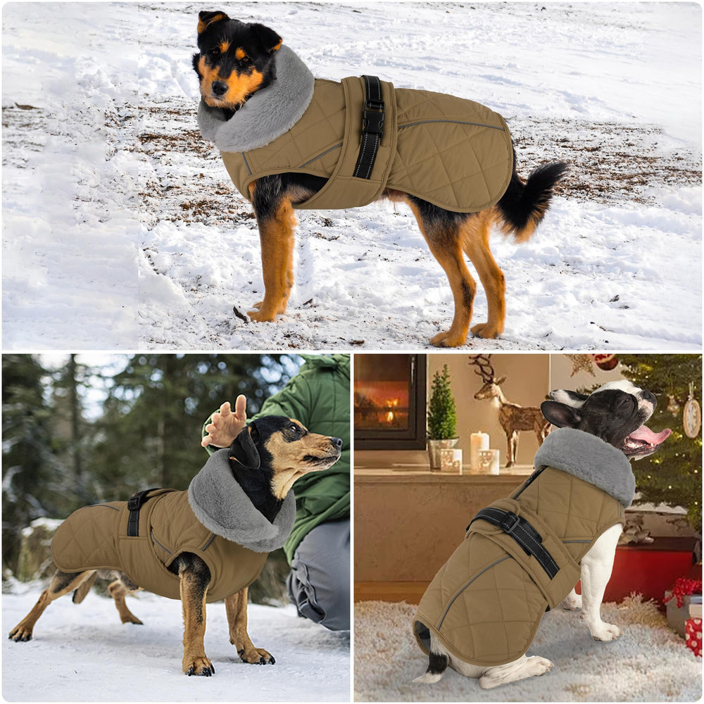 Petglad manteau chien fermeture velcro sécurisée pour enfiler rapide