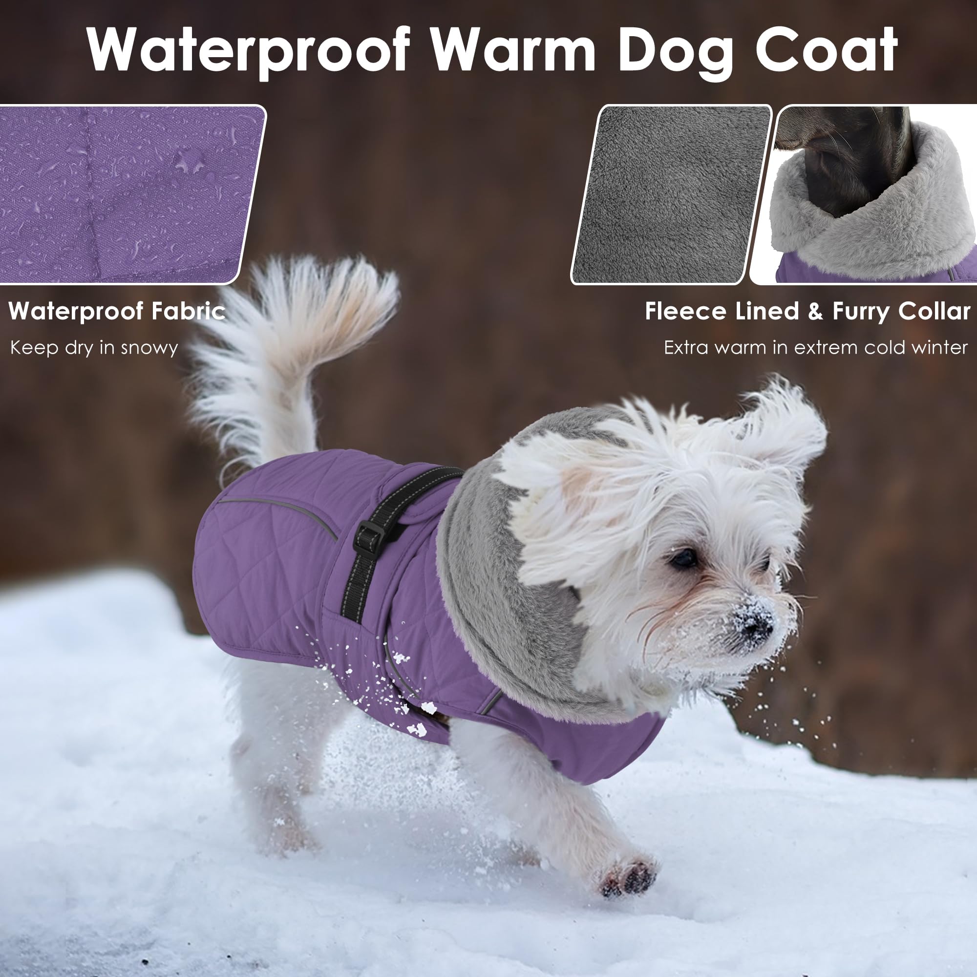 Vue arrière du manteau Petglad, coupe ajustee et chaleur enveloppante.