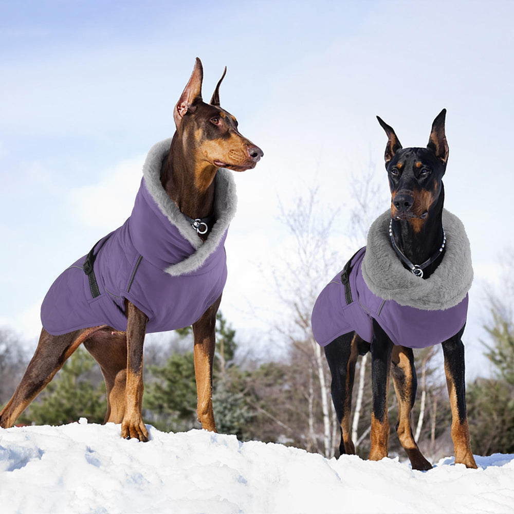 Petglad manteau chien lavable en machine, entretien simple après les sorties.