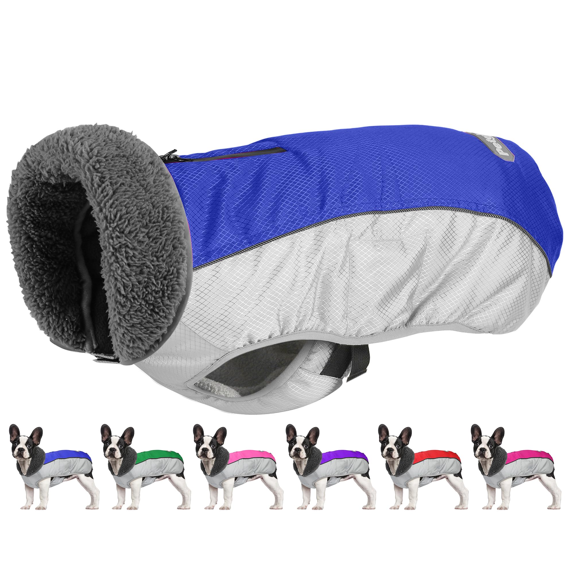 Petglad manteau chien neige imperméable pour sorties quotidiennes en hiver.