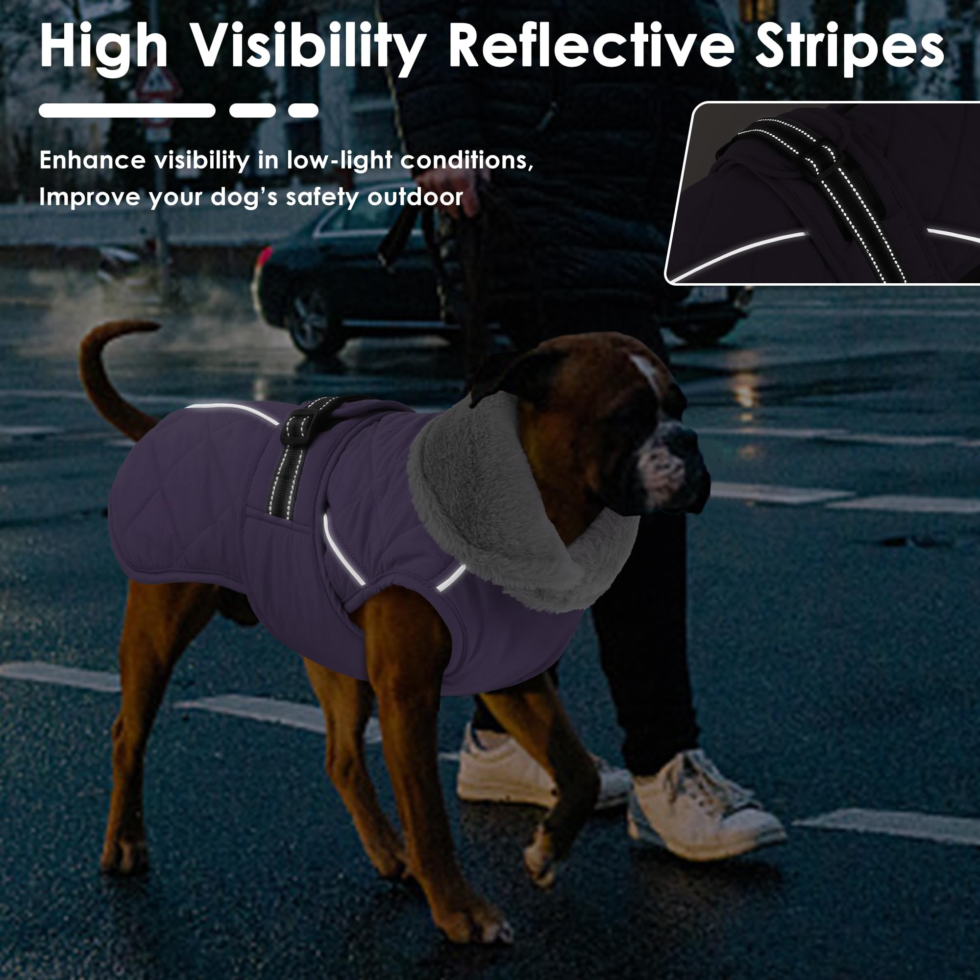 Petglad manteau chien ouverture harnais, promenade facilitée avec laisse.