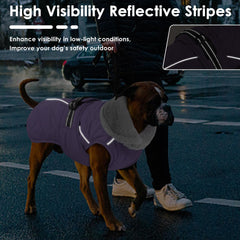 Petglad manteau chien ouverture harnais, promenade facilitée avec laisse.