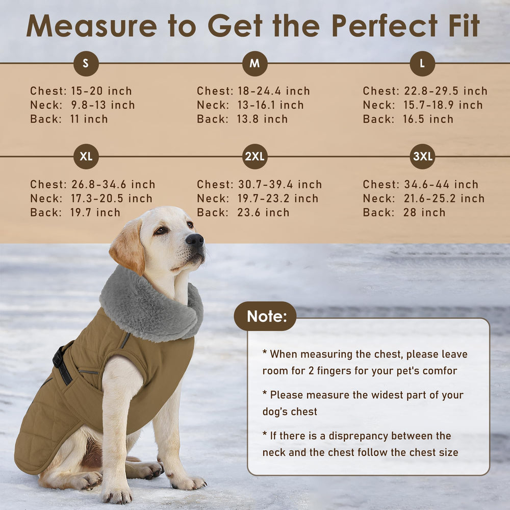 Petglad manteau chien ouverture laisse zippee pratique avec harnais