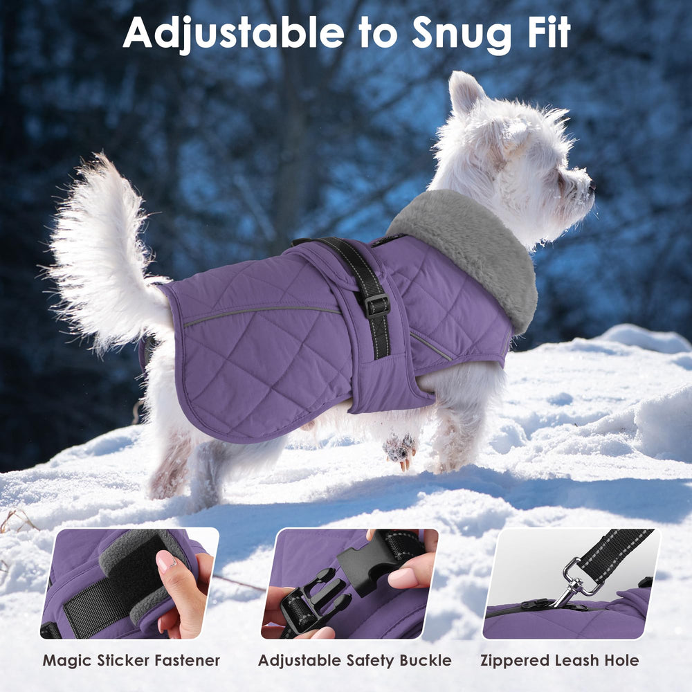 Petglad manteau chien réfléchissant, meilleure visibilité pendant les promenades nocturnes.