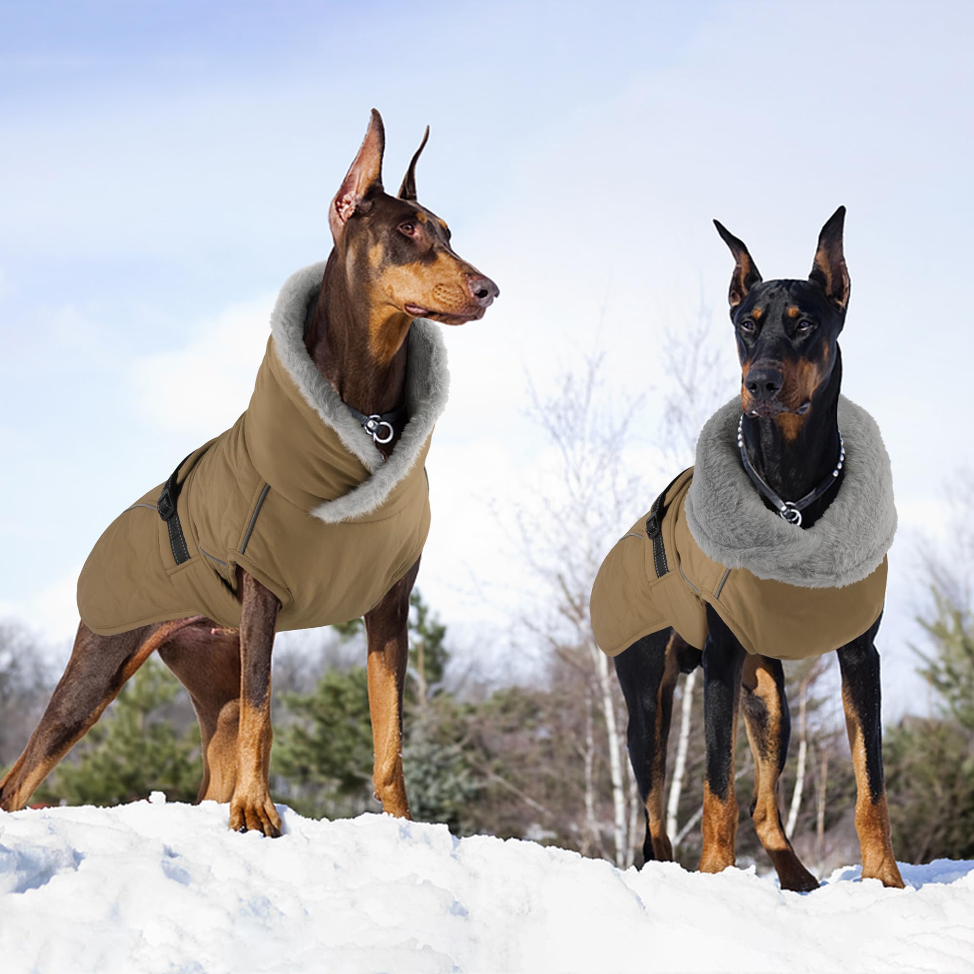 Petglad manteau chien tailles variées et entretien facile en machine