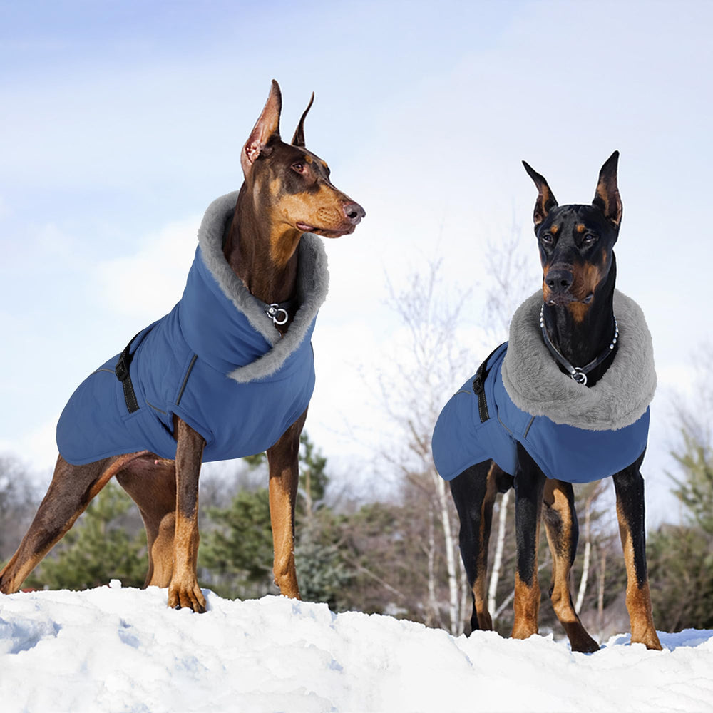 Tailles variées Petglad, convenant aux petits, moyens et grands chiens.
