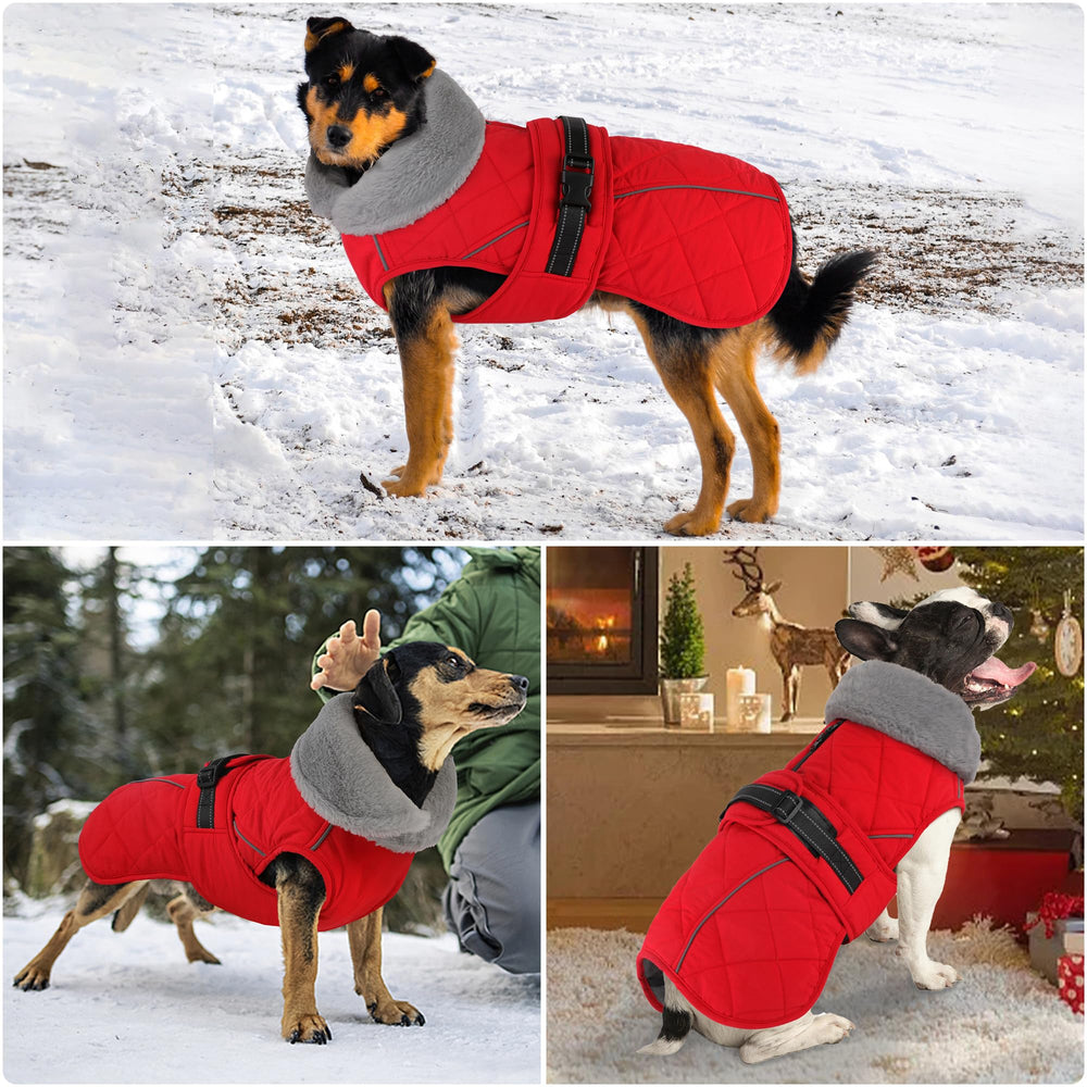 Petglad manteau chien tailles réglables pour ajustement