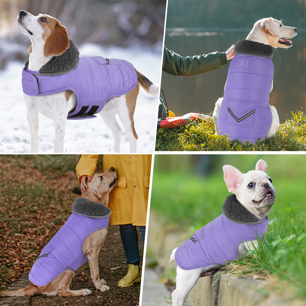 Tailles variées Petglad pour s'adapter à toutes les morphologies canines