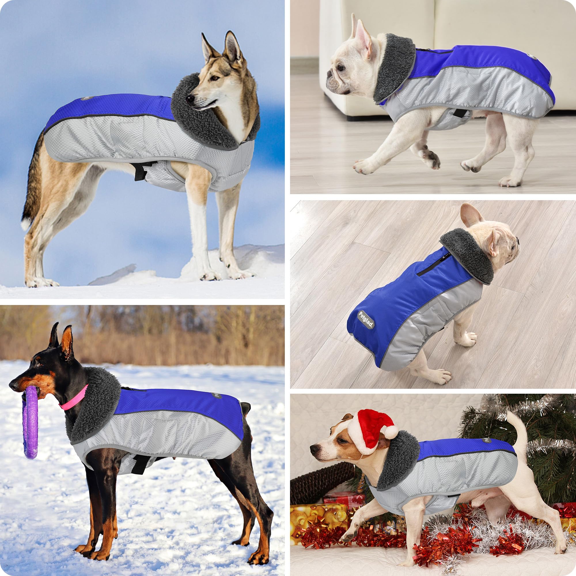 Petglad manteau chien trou pour laisse sur le dos lors des promenades.