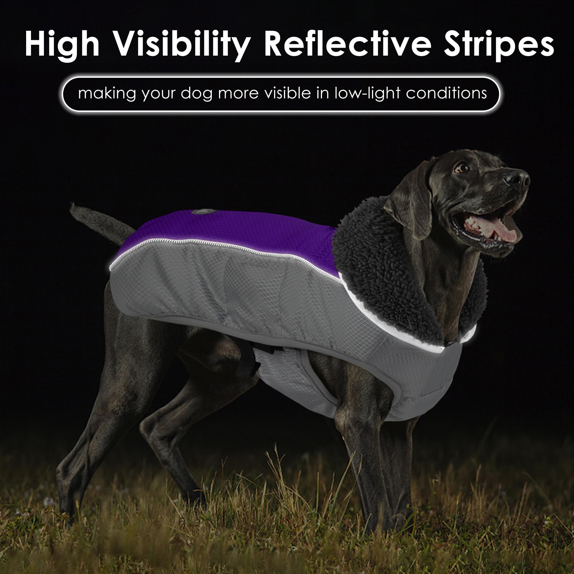Petglad manteau chien trou pour laisse facilite les promenades.
