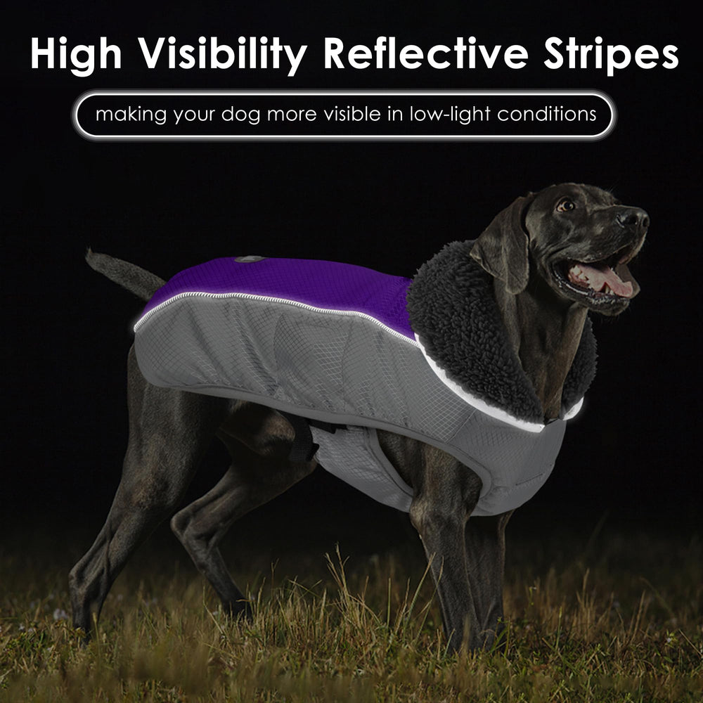 Petglad manteau chien trou pour laisse facilite les promenades.