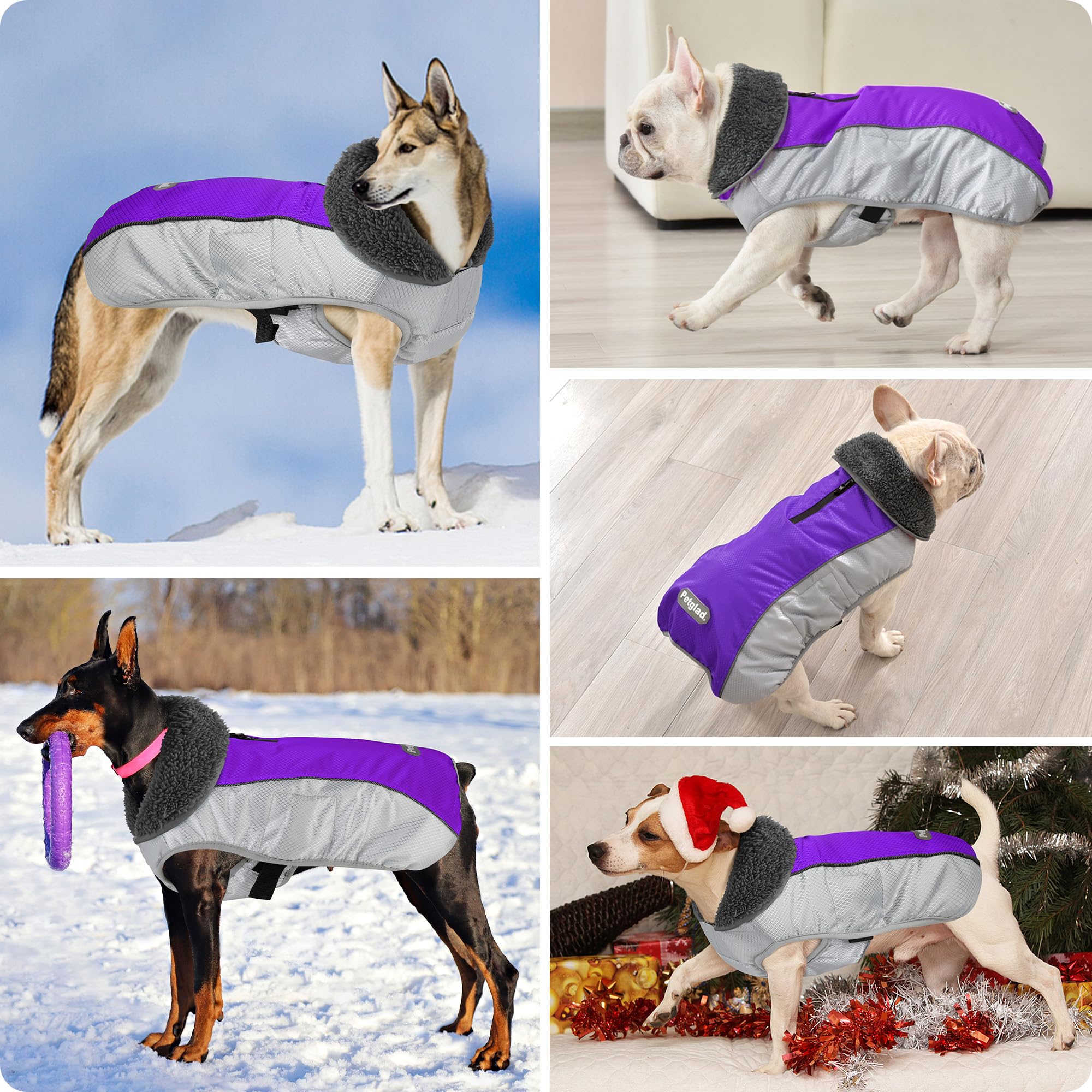 Petglad manteau chien visibilite reflechissante nocturne augmente la securite.