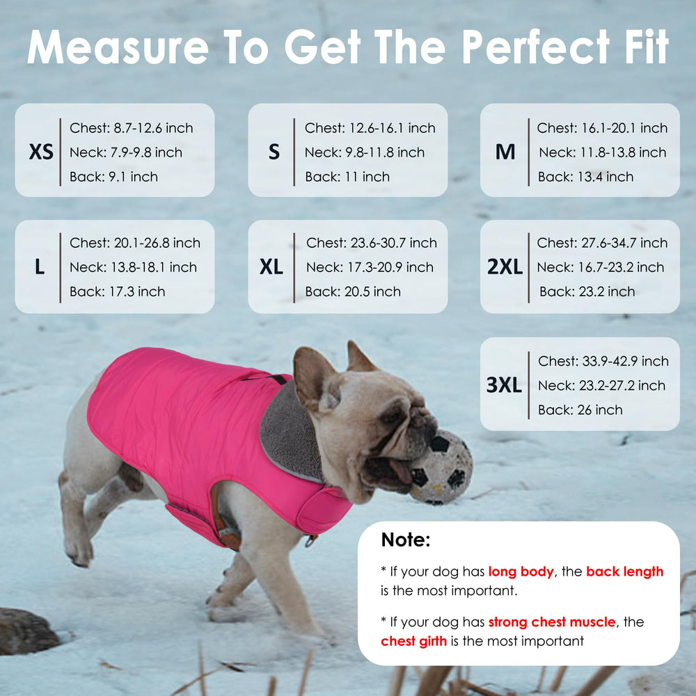 Petglad manteau hiver chien col haut rembourre protege les oreilles du gel.