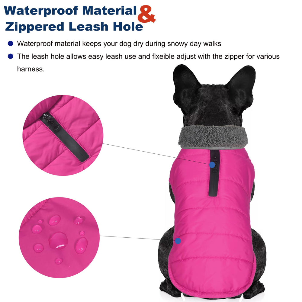 Petglad manteau hiver chien-douillet interieur offre chaleur douce pendant les balades.