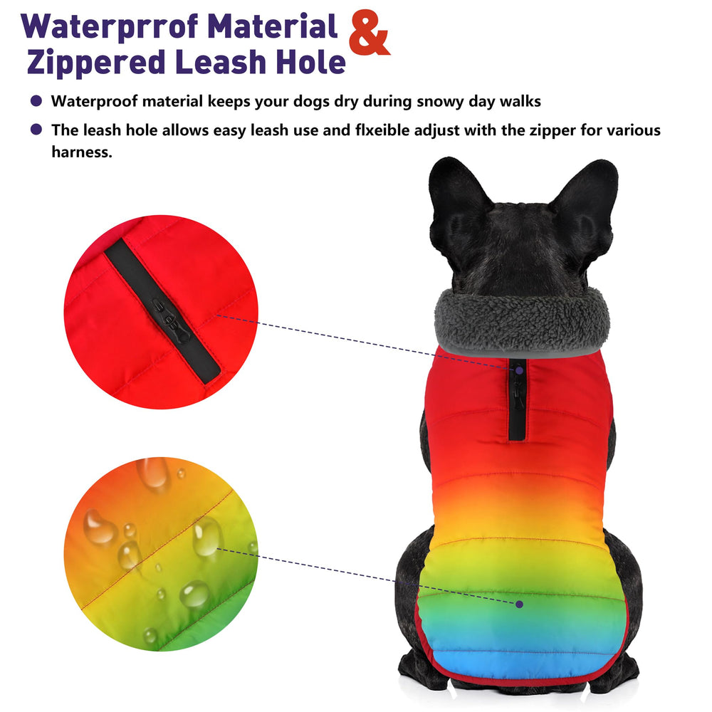 Petglad manteau hiver chien impermeable, protège du froid et de l’humidité lors des balades.