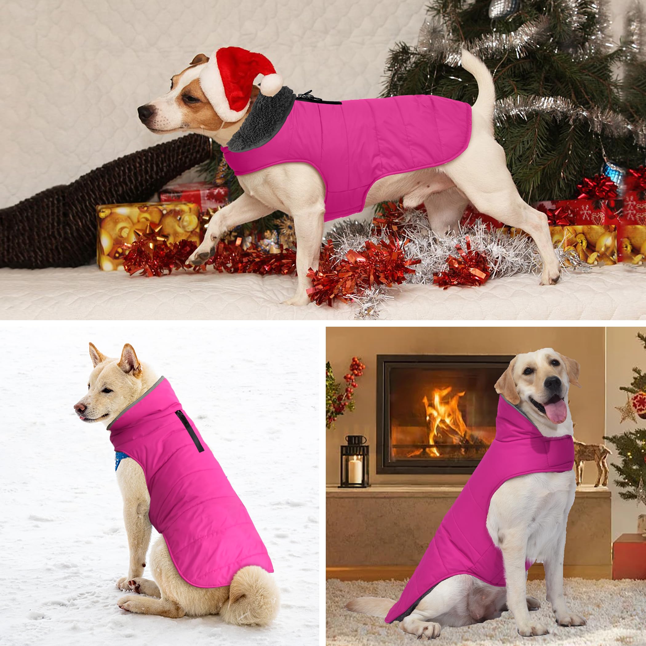 Petglad manteau hiver chien utilisation nocturne ideale pour sorties tardives et securite.
