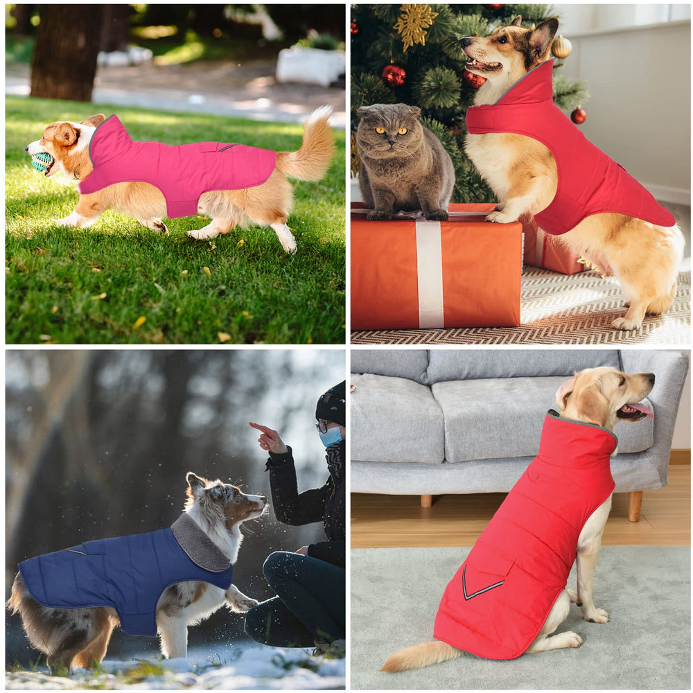 Petglad veste chien hiver, ideale pour sorties quotidiennes et promenades.