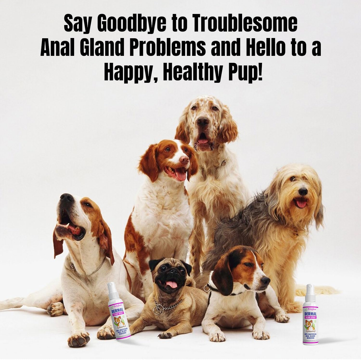 Petglow emballage produit soin Glande Anale – prêt à l'emploi.