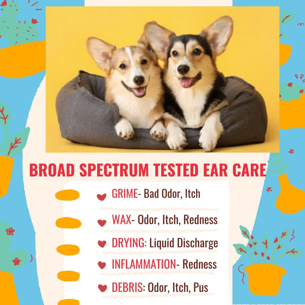 PetGlow formule-naturelle-sans-alcool: soin sûr pour les oreilles du chien