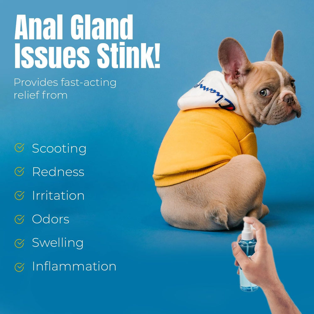 Petglow neutralisation odeurs Glande Anale – espace de vie plus frais.