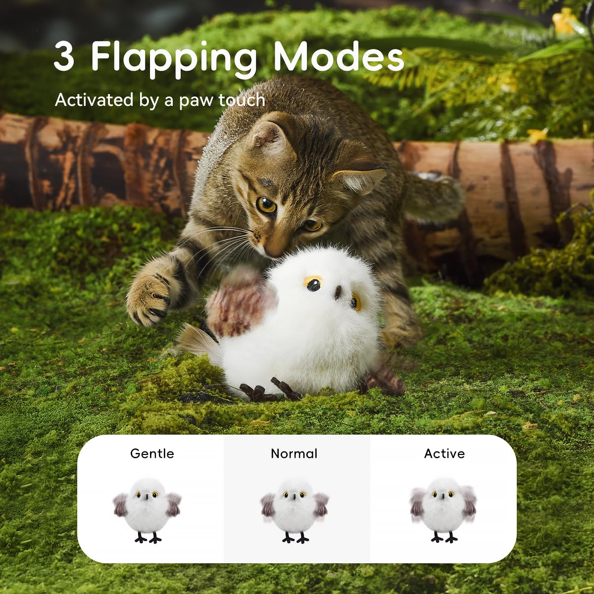 Petgravity Gazouillis réaliste: oiseau qui attire la curiosité du chat.