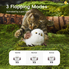 Petgravity Gazouillis réaliste: oiseau qui attire la curiosité du chat.