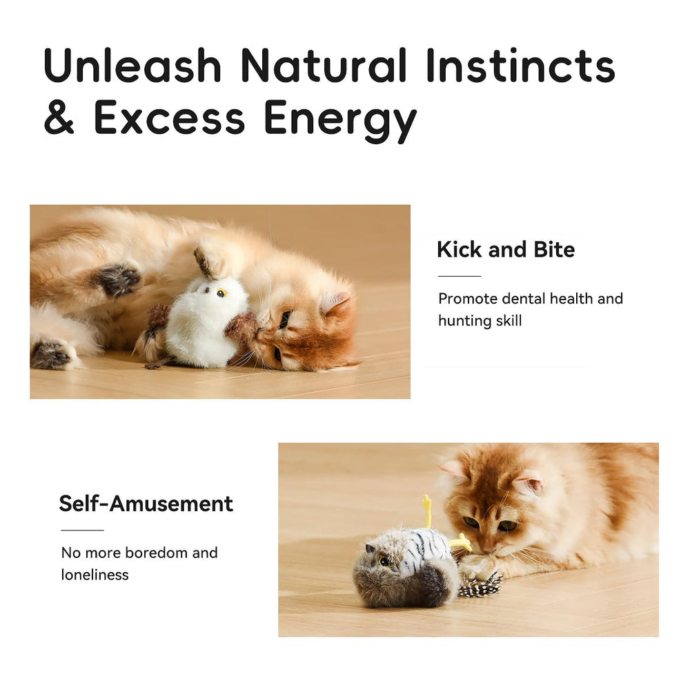 Petgravity Interaction féline: activité engageante adaptée à chaque chat.