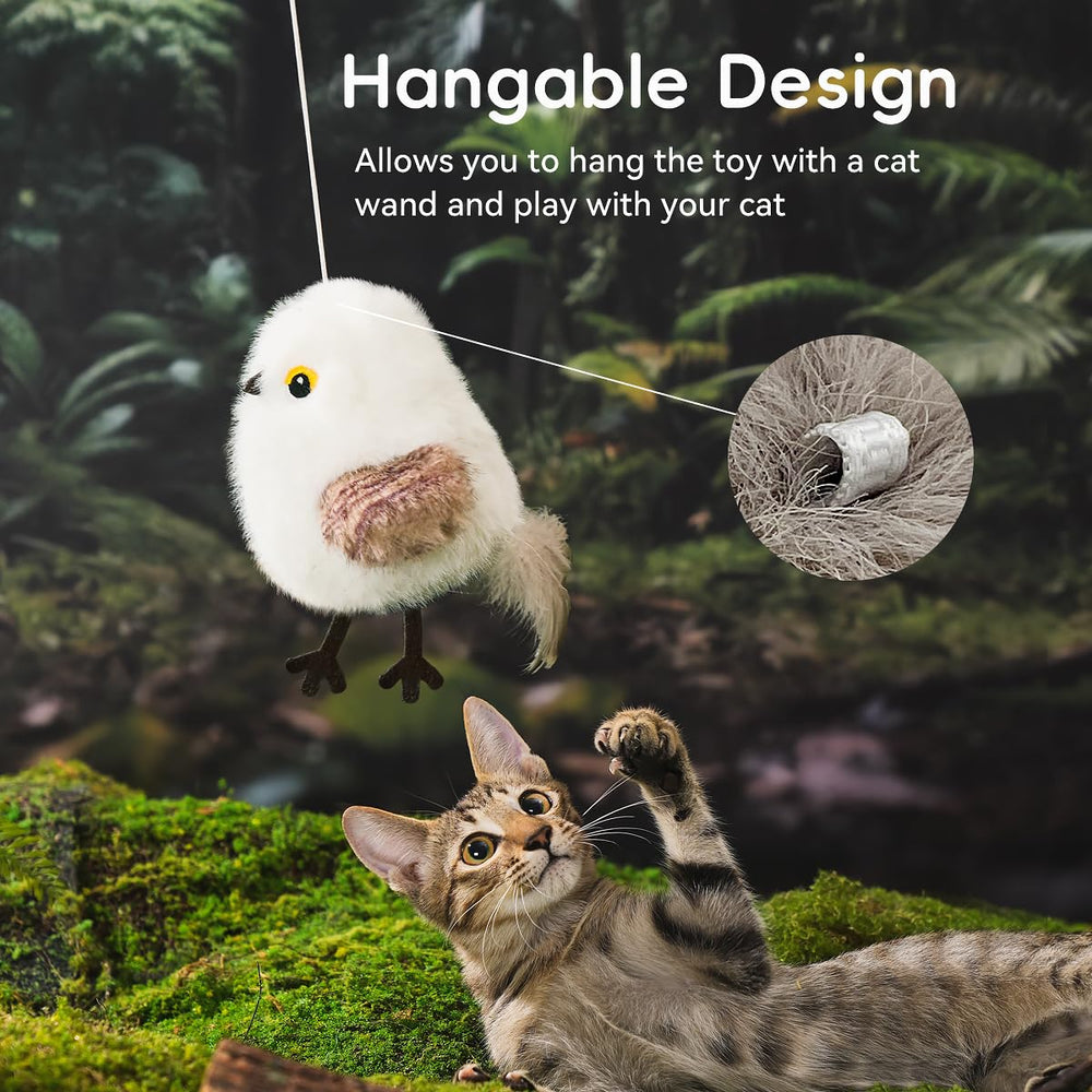 Petgravity Peluche douce: toucher agréable et jeu de combat léger.
