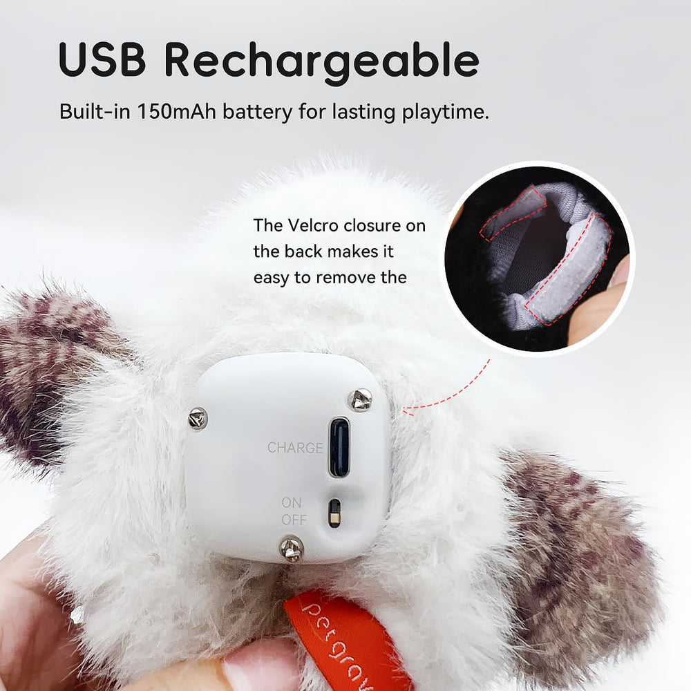 Petgravity Poche herbe à chat: stimule l'odorat et l'activité.