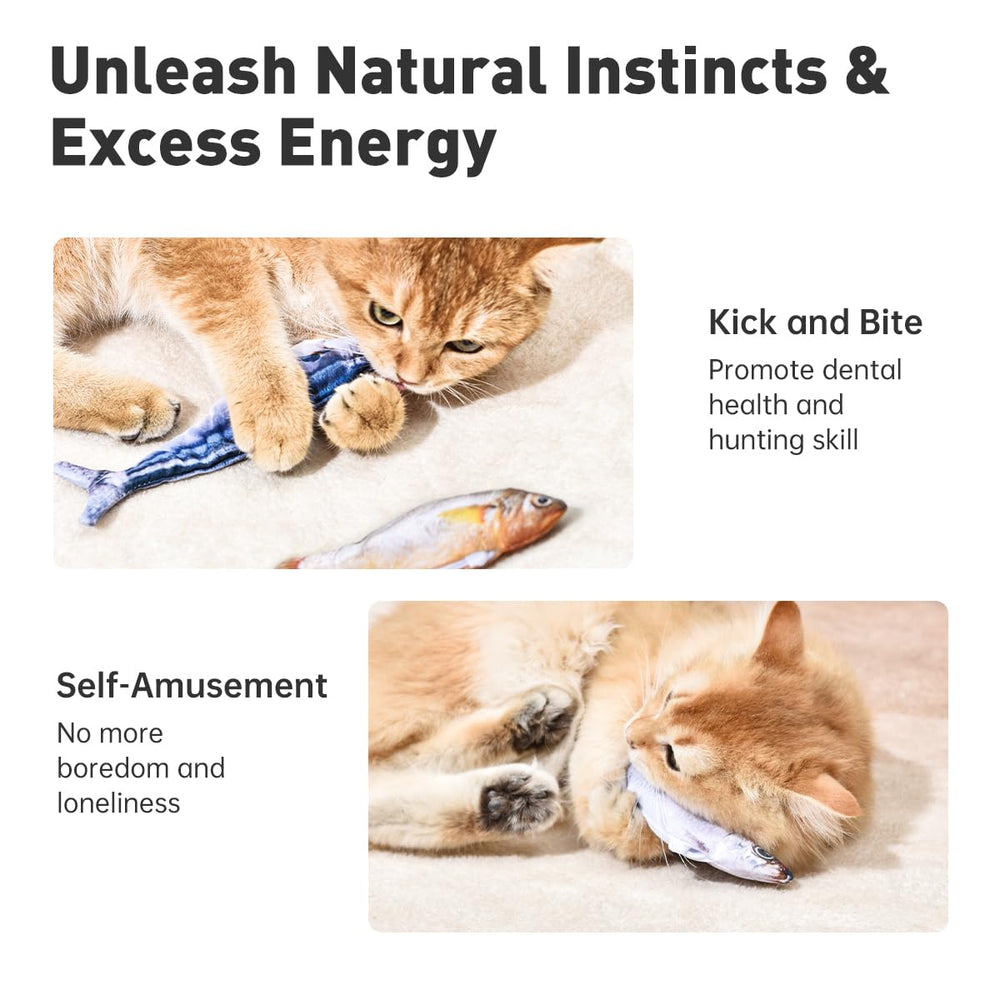 Petgravity poisson compact et durable, 7,1 pouces pour sessions prolongées.