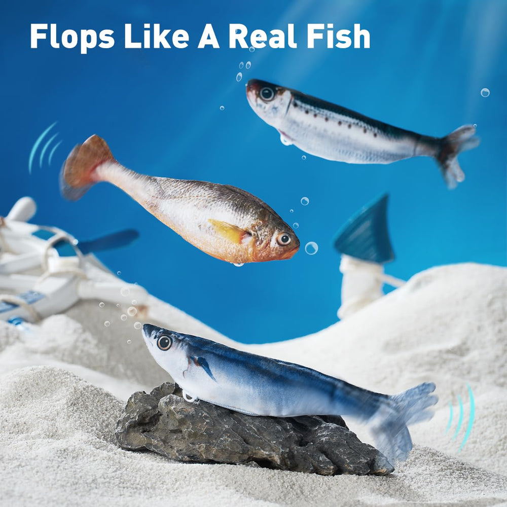 Petgravity poisson mode battement 3, expérience interactive variée.