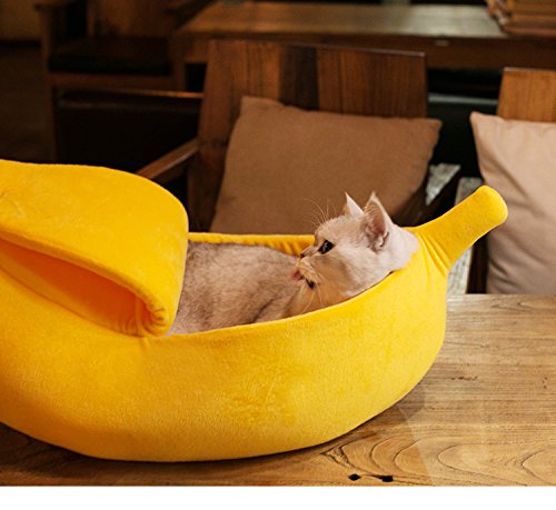 Design ludique Petgrow en forme de banane pour animaux.