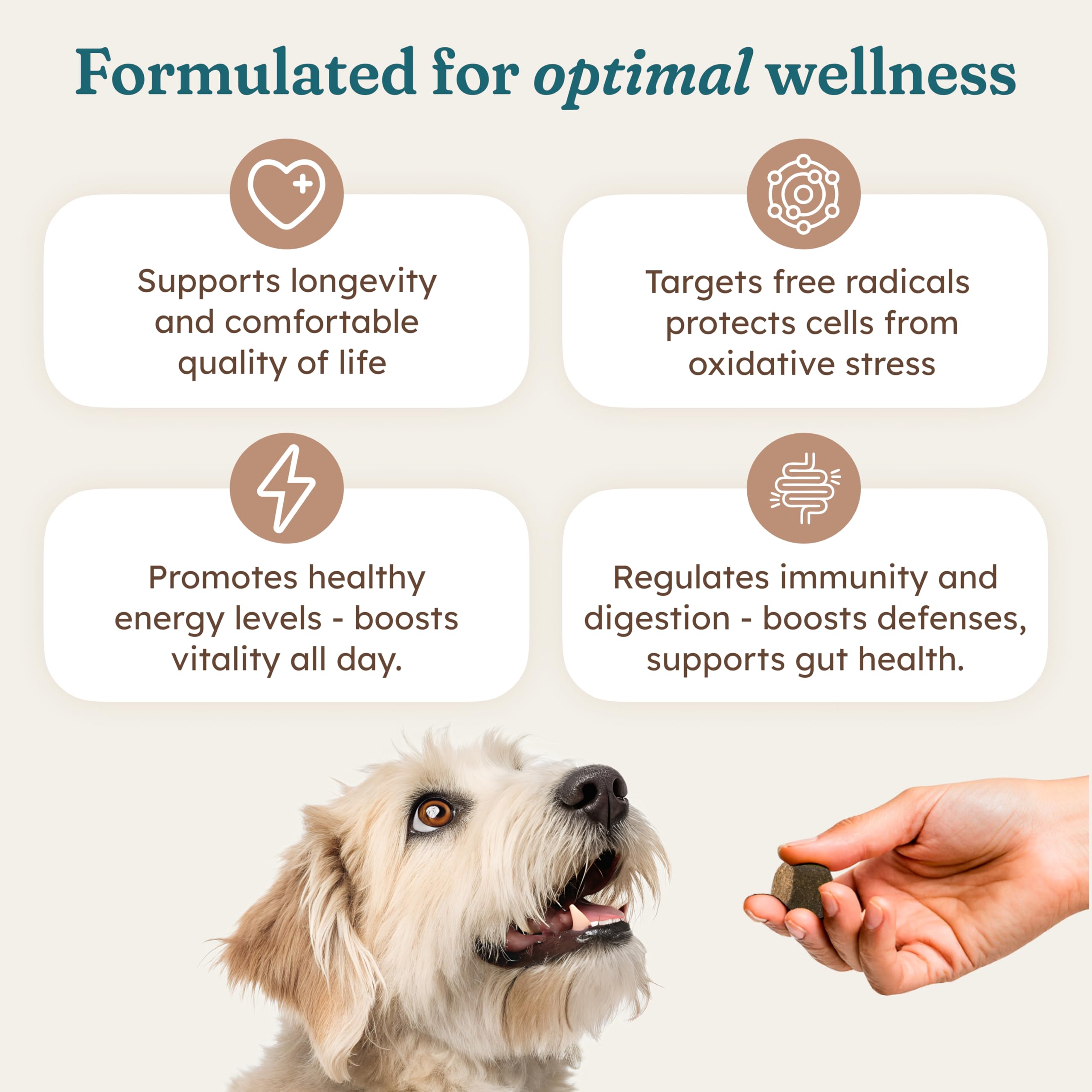 Ingrédients astragalus et bardane dans PetHeal Cancer Care Chews