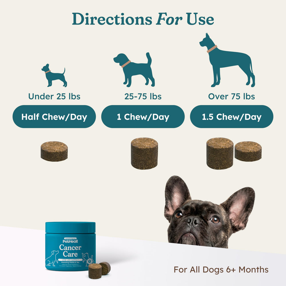 Chien heureux après avoir goûté PetHeal Cancer Care Chews
