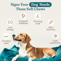 PetHeal Immune Plus – friandises molles, goût porc apprécié par les chiens.