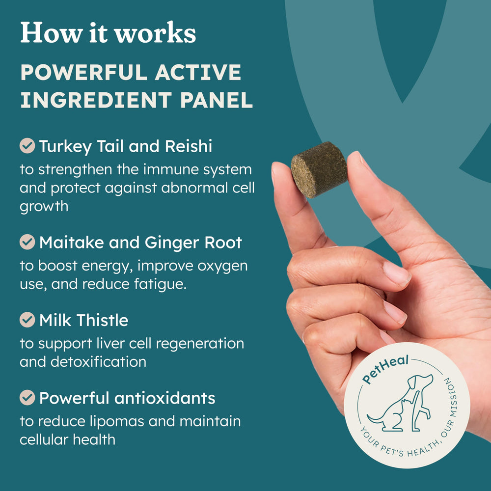 PetHeal Immune Plus – ingrédients clés Turkey Tail et Reishi pour soutenir les défenses.