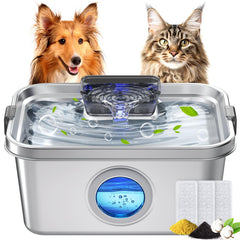 Fontaine PETHIND pour chien avec grande fenêtre pour vérifier le niveau d'eau