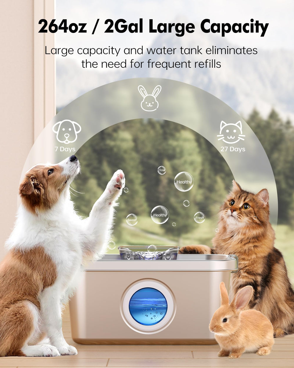 PETHIND fontaine pour chien – pompe silencieuse et fiable