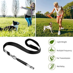 Sifflet Petiddy en acier inoxydable durable pour entraînement extérieur.