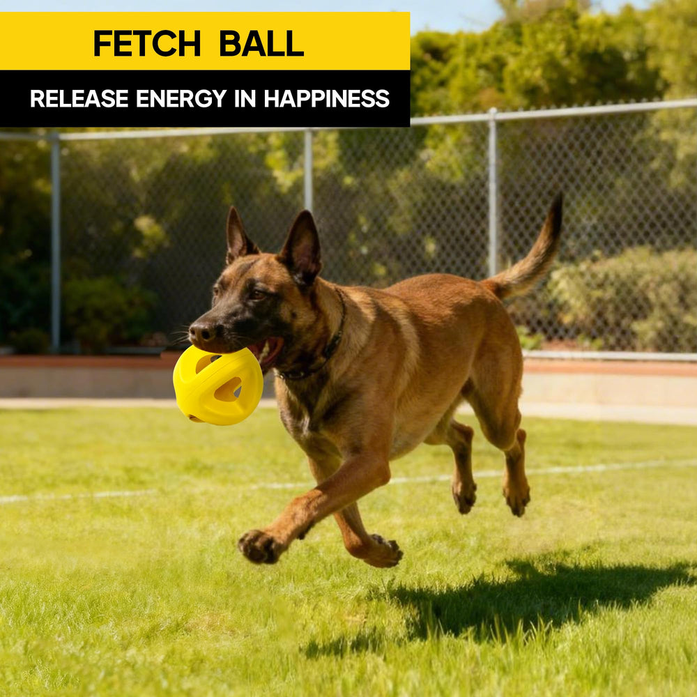 PetiFine balle polyvalente — idéale pour rapporter le jouet et tirer, renforçant le lien.