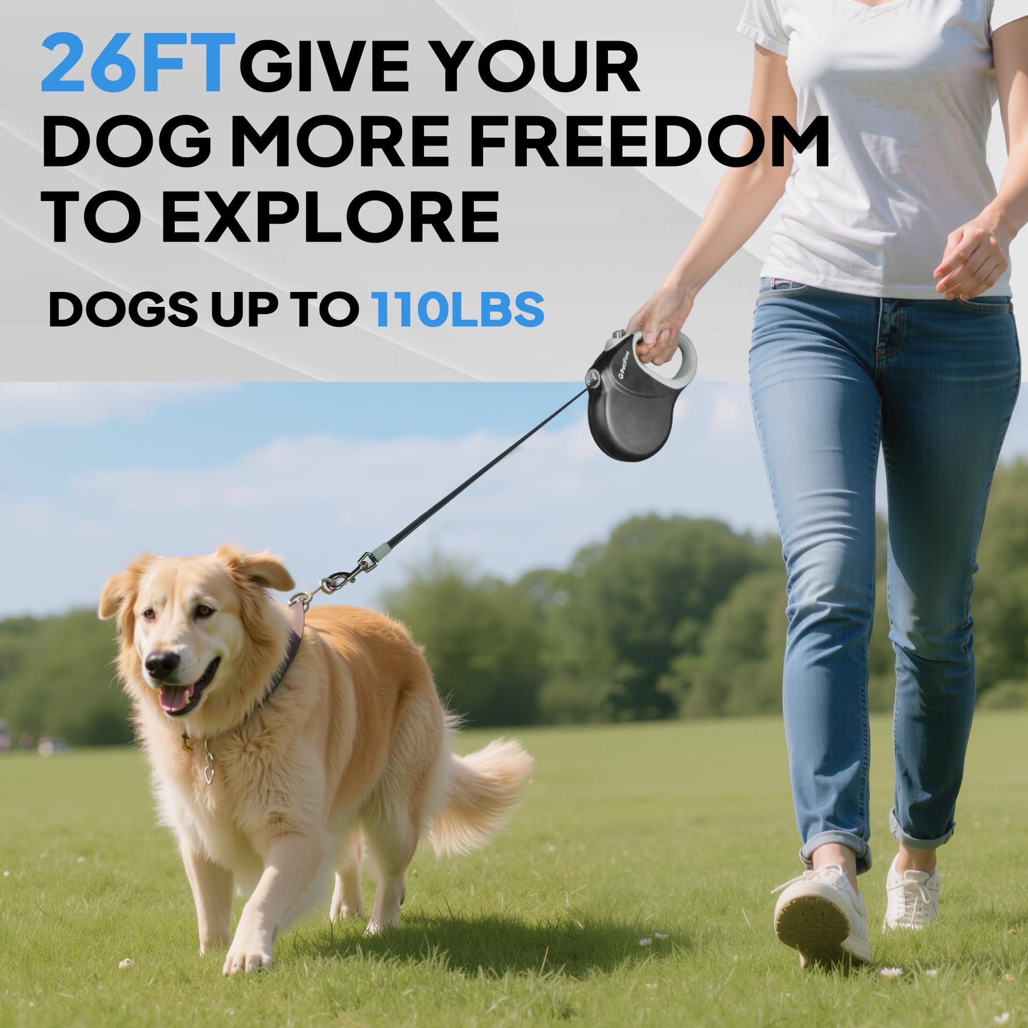 PetiFine usage quotidien : promenade sécurisée et agréable avec votre chien.