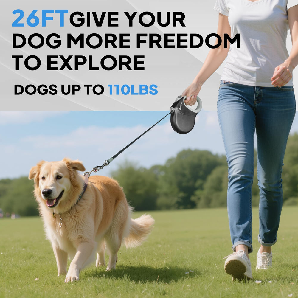 PetiFine usage quotidien : promenade sécurisée et agréable avec votre chien.