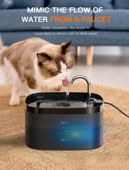 Pompe ultra silencieuse Petilog apaise l environnement nocturne des chats.