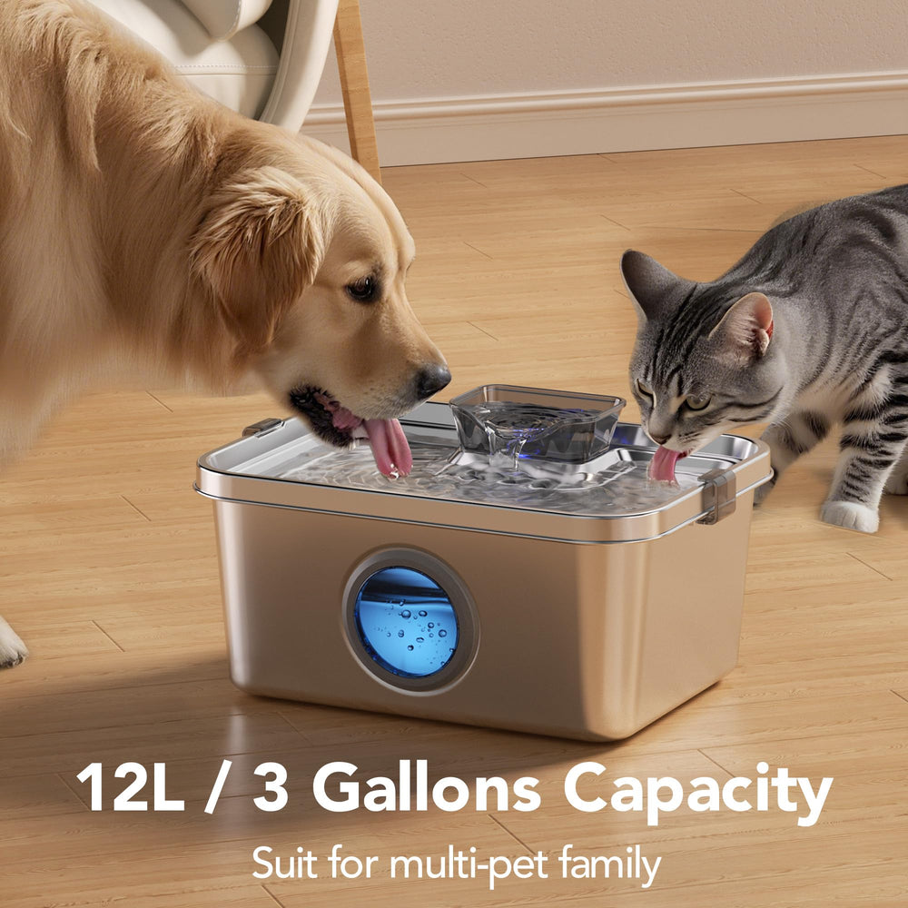 Filtration en quatre étapes PETIMI pour eau plus propre.