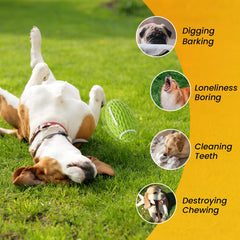 Petinstinct balle-football-vert-durable, jeu polyvalent pour chiens actifs